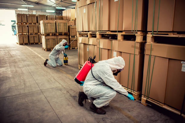 Best Termite Control Services  in Fern Prairie, WA