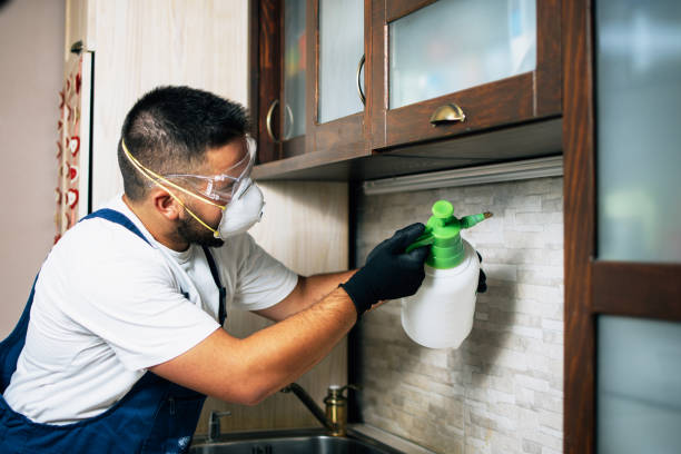 Best Affordable Pest Control Services  in Fern Prairie, WA