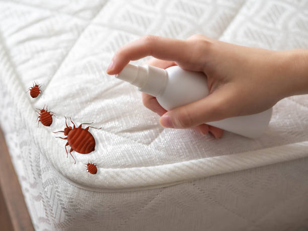 Best Emergency Pest Control  in Fern Prairie, WA
